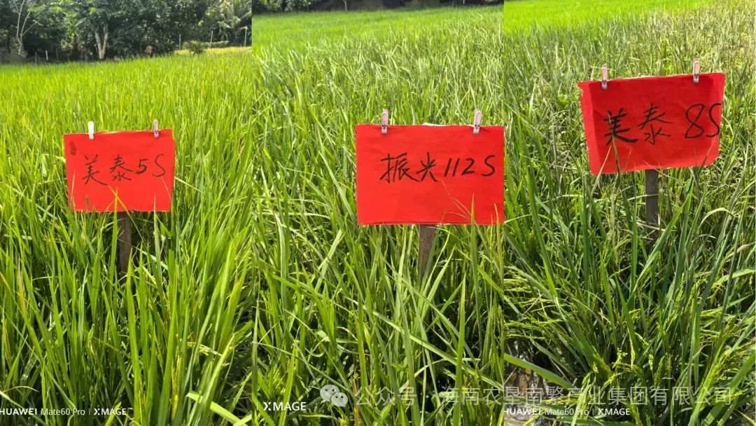 圖片.png